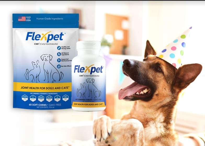 joint care chews for dogs