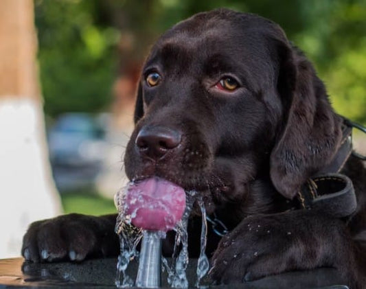 water