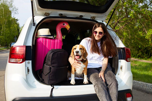 pet-friendly-travel-destinations
